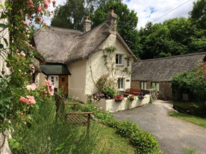 Three Pound Cottage, the Dartmoor Holiday Cottage